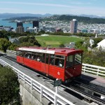 Playtime in Wellington Botanical Garden