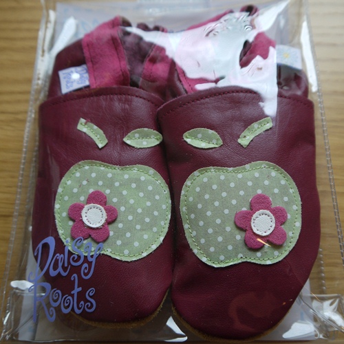 Daisy Roots Shoes